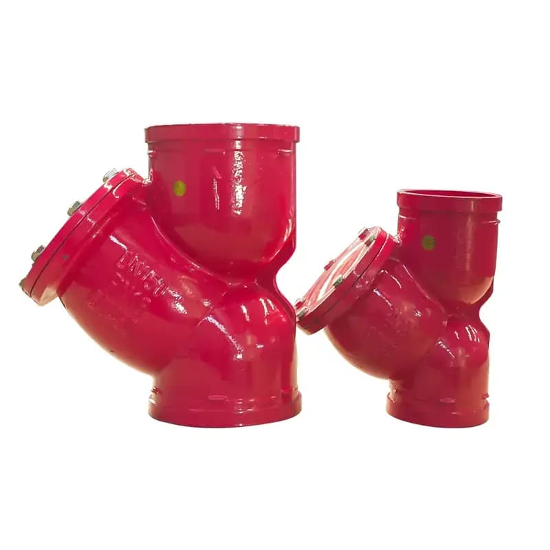 Ductile Iron Y Type Strainer with Red Finish