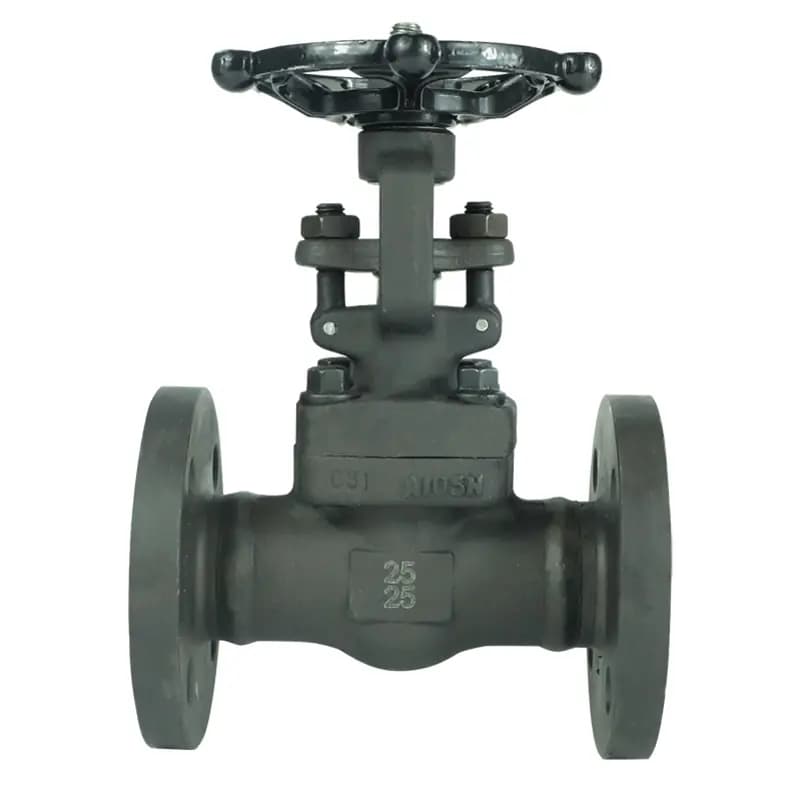 Forged Carbon Steel Gate Valve