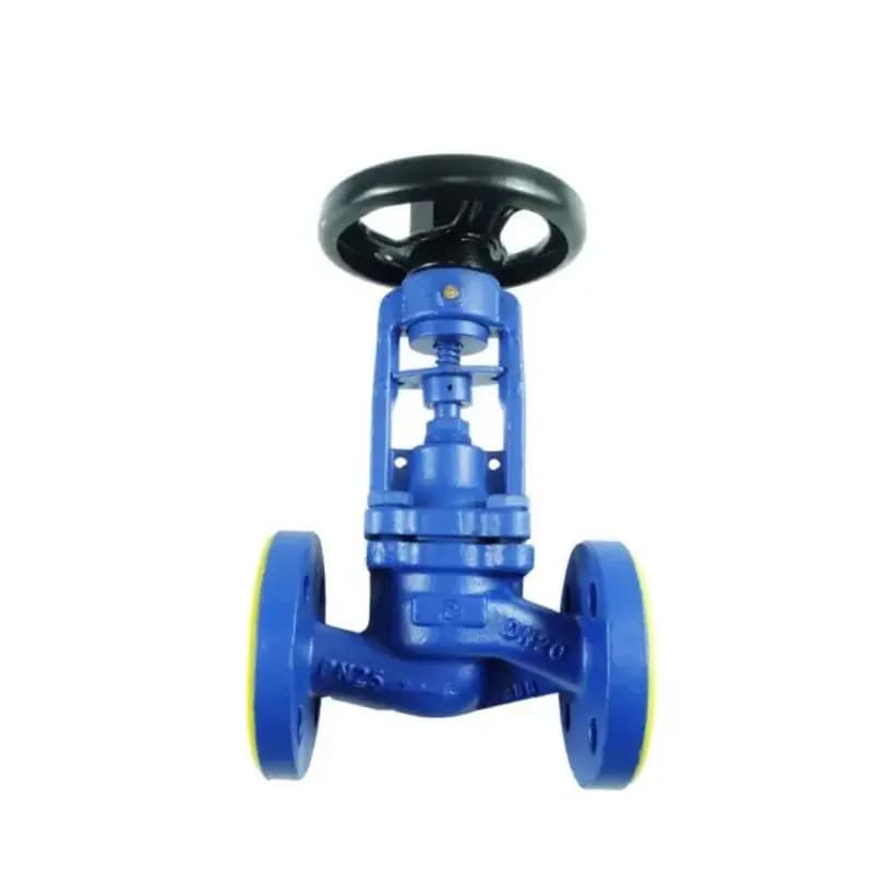 Globe Valves