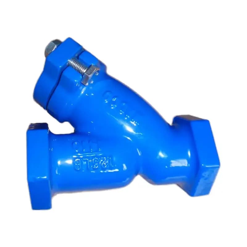 Filtro en forma de Y de hierro fundido roscado NPT BSPT