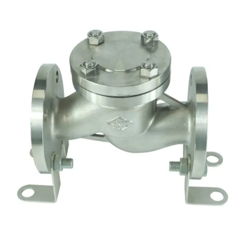 Spring Check Valve