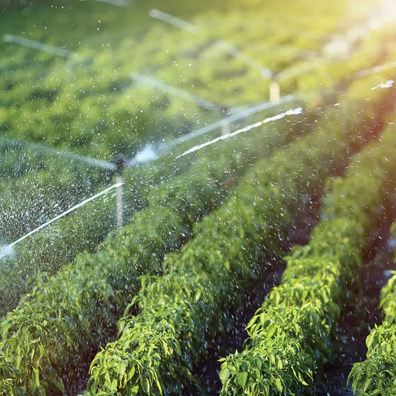 Agriculture