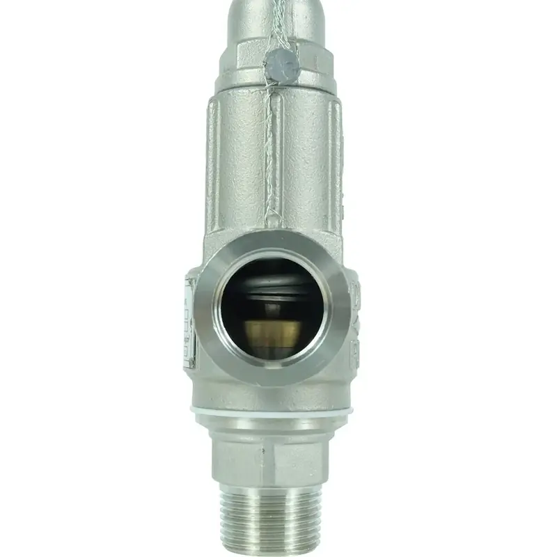 Easy Installation Threaded Spring-Loaded Safety Valve