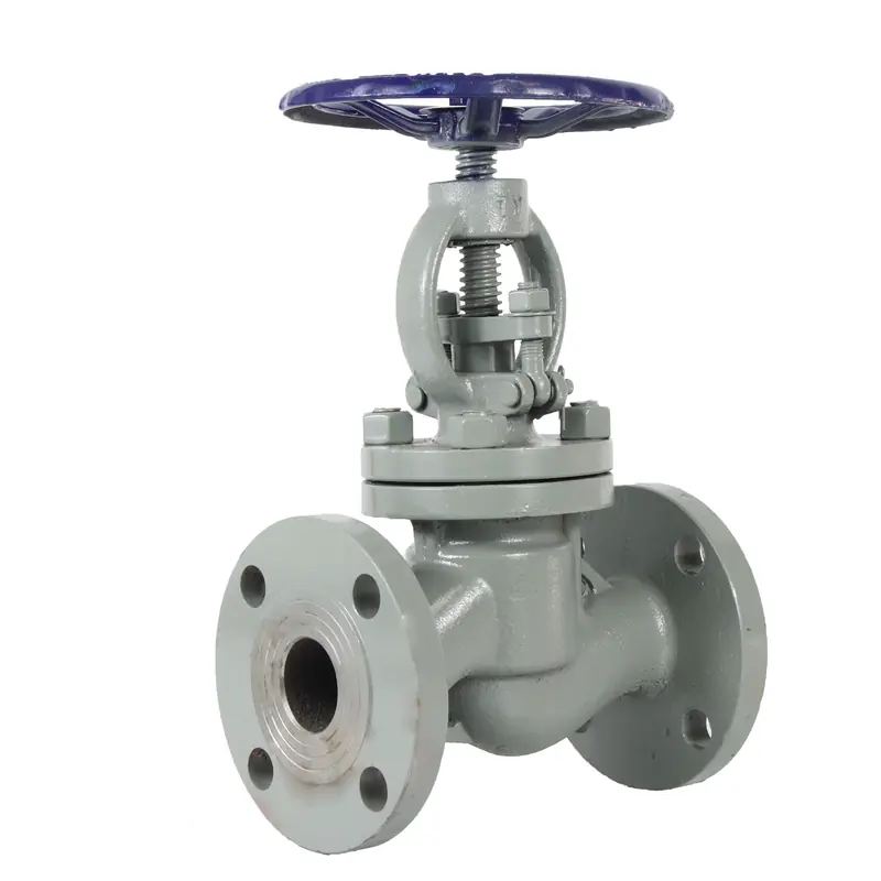 Easy Installation and Maintenance Flanged Globe Valve