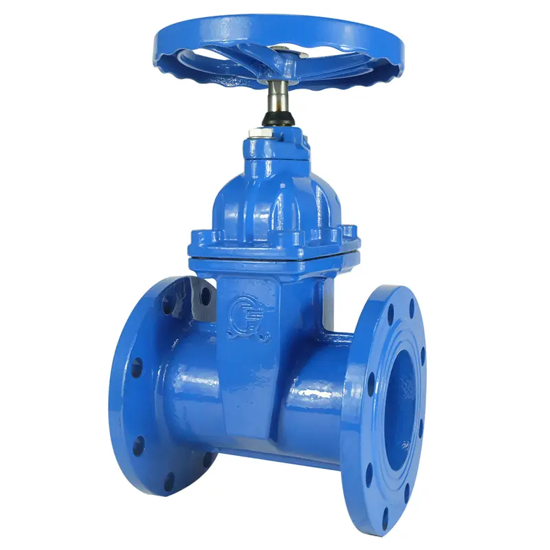 Hand Wheel Flanged Gate Valve