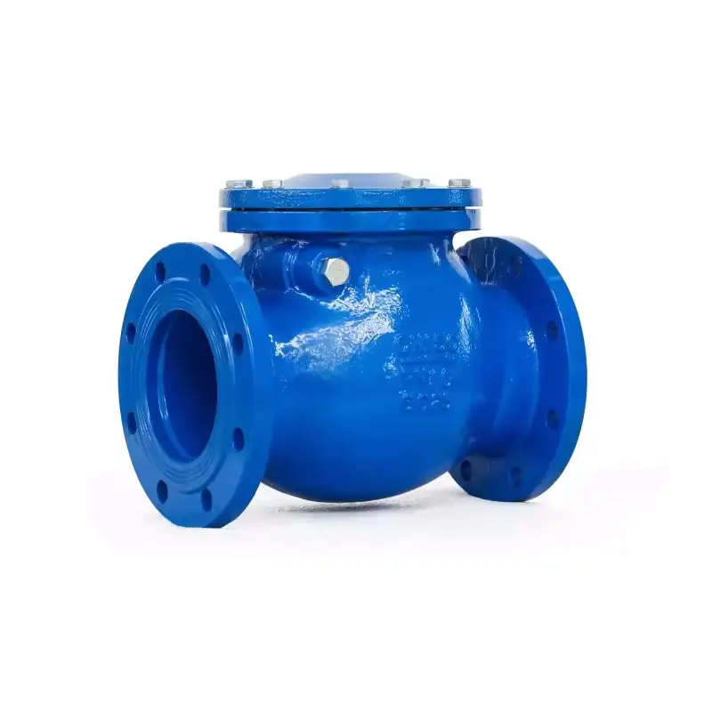 High Strength and Durability Ductile Iron Flanged Swing Check Valve