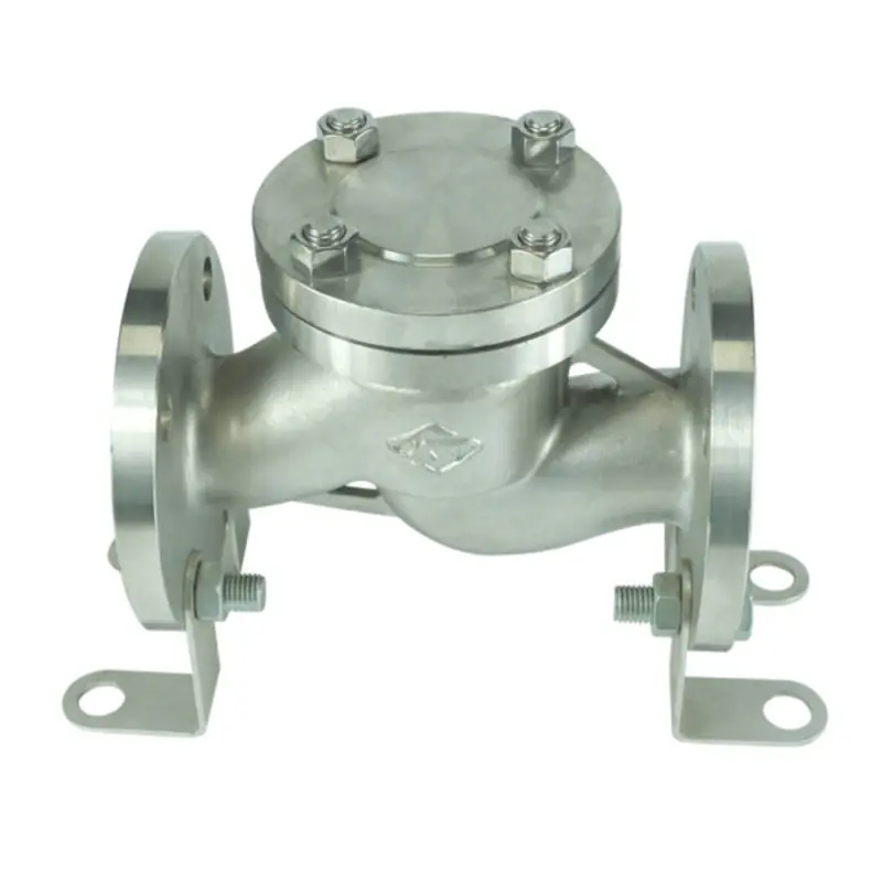 Spring Check Valve